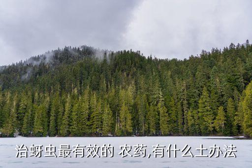 治蚜蟲最有效的 農藥,有什么土辦法