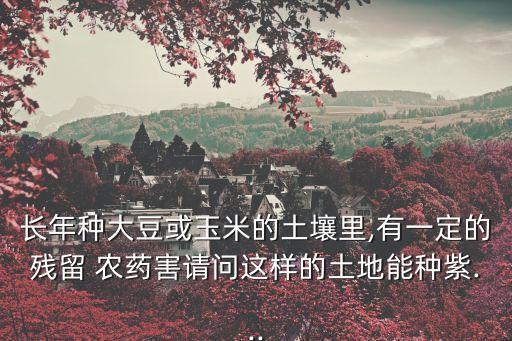 長年種大豆或玉米的土壤里,有一定的殘留 農藥害請問這樣的土地能種紫...