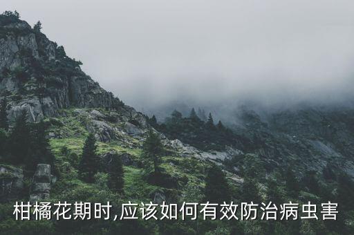 桔子能用什么農藥殺蟲劑,桔子結果了要打什么農藥