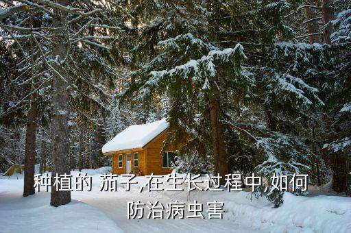 茄子有病了打什么農藥防治