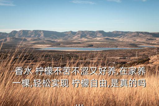香水檸檬用什么農(nóng)藥好
