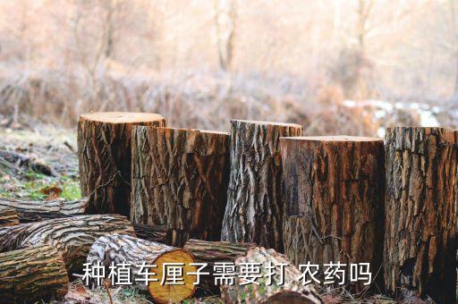 什么水果能打農藥,用什么洗水果可以去農藥