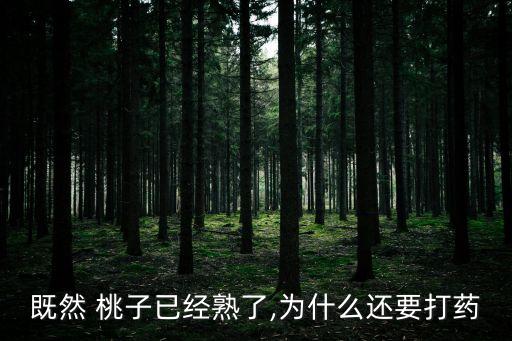 既然 桃子已經(jīng)熟了,為什么還要打藥