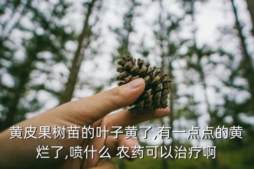黃皮果樹苗的葉子黃了,有一點點的黃爛了,噴什么 農藥可以治療啊