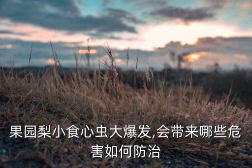 果園梨小食心蟲大爆發,會帶來哪些危害如何防治