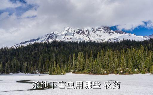 殺地下害蟲用哪些 農(nóng)藥