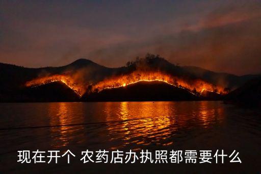 現在開個 農藥店辦執照都需要什么