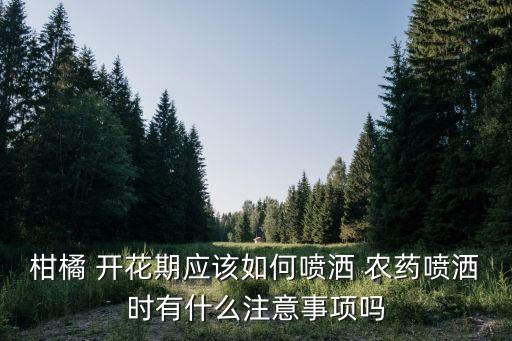 桔子不開花打什么農(nóng)藥好,桔子開花的時候長什么樣