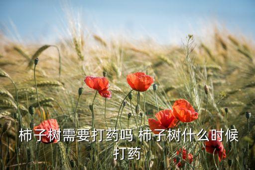 柿子和什么打汁,柿子用什么農(nóng)藥打