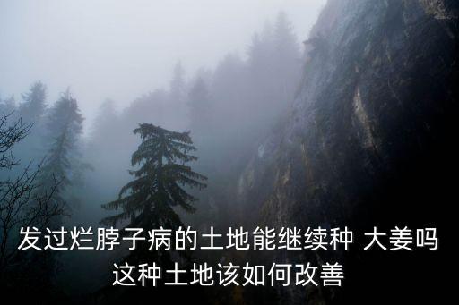 發過爛脖子病的土地能繼續種 大姜嗎這種土地該如何改善