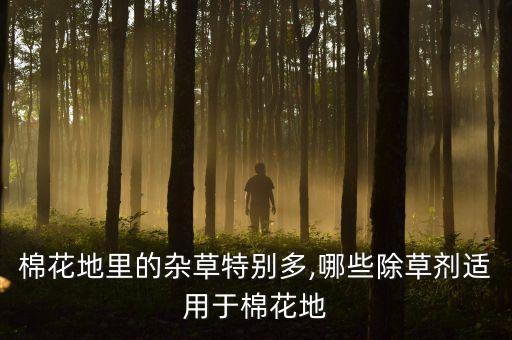 芭蕉用什么農藥打死,什么農藥能打死所有的草