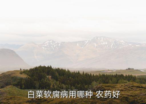  白菜軟腐病用哪種 農(nóng)藥好