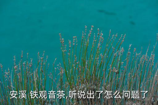 安溪 鐵觀音茶,聽說出了怎么問題了