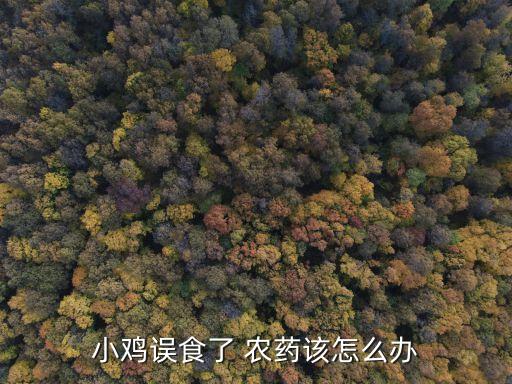 雞吃了農(nóng)藥吃什么解毒,喝農(nóng)藥吃什么藥解毒效果好