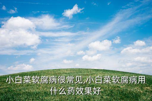 葉子在土壤中腐爛是因為什么,葉子腐爛用什么農藥