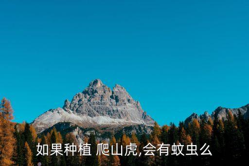 如果種植 爬山虎,會有蚊蟲么