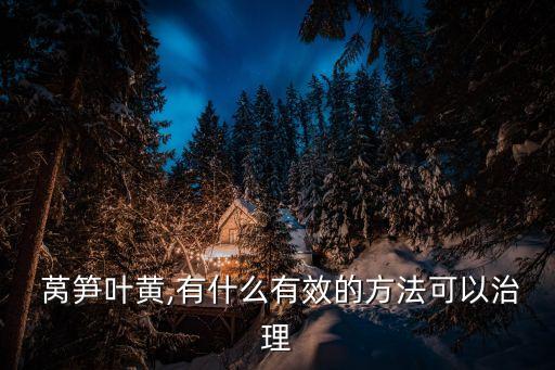萵筍黃葉子打什么農藥,萵筍的葉子像什么