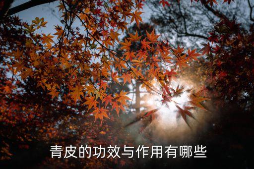  青皮的功效與作用有哪些