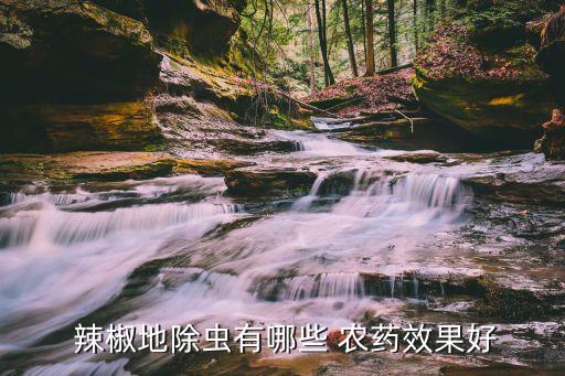  辣椒地除蟲有哪些 農(nóng)藥效果好