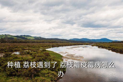 荔枝木最怕什么農(nóng)藥殺蟲,荔枝樹怕什么農(nóng)藥