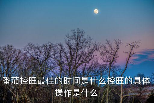 番茄控旺最佳的時(shí)間是什么控旺的具體操作是什么