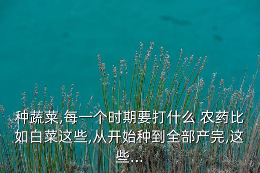 種蔬菜,每一個時期要打什么 農(nóng)藥比如白菜這些,從開始種到全部產(chǎn)完,這些...