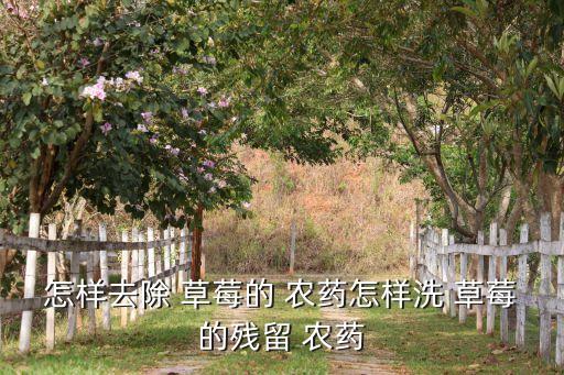 怎樣去除 草莓的 農(nóng)藥怎樣洗 草莓的殘留 農(nóng)藥