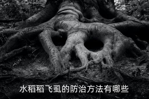 水稻稻飛虱的防治方法有哪些