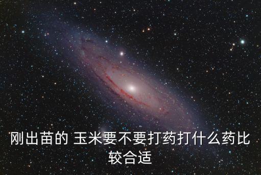 剛出苗的 玉米要不要打藥打什么藥比較合適