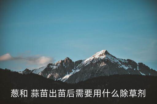 蔥和 蒜苗出苗后需要用什么除草劑