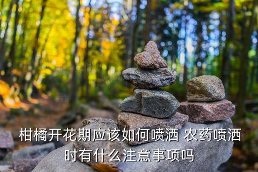  柑橘開花期應(yīng)該如何噴灑 農(nóng)藥噴灑時有什么注意事項嗎
