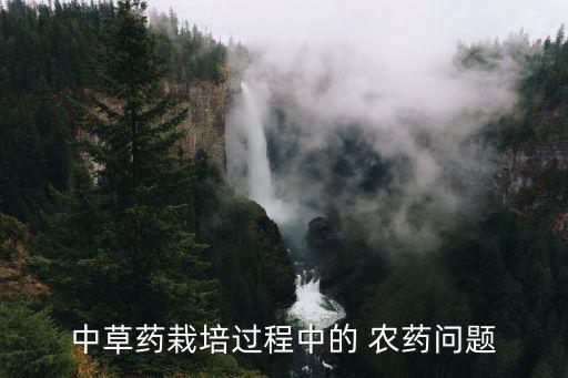 中草藥栽培過程中的 農(nóng)藥問題