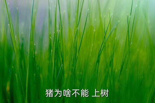 母豬不會上樹什么意思,母豬上樹打什么農藥
