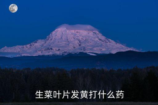  生菜葉片發黃打什么藥
