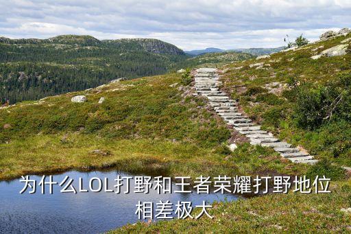 lol農(nóng)藥為什么那么多,為什么lol比賽那么多人看