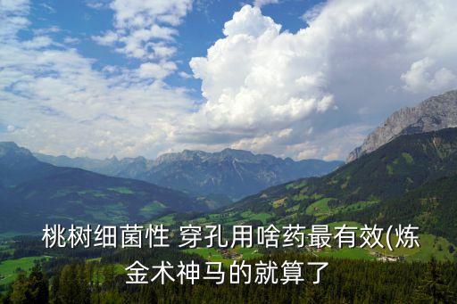  桃樹細菌性 穿孔用啥藥最有效(煉金術神馬的就算了