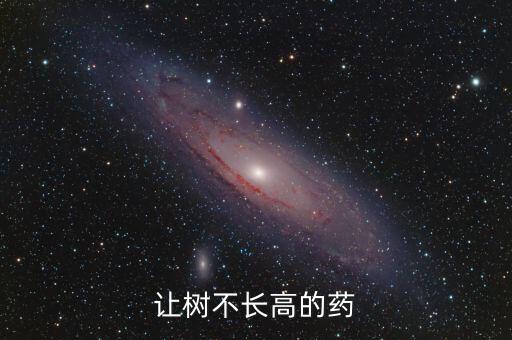 讓樹不長高的藥