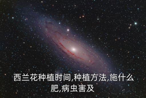  西蘭花種植時間,種植方法,施什么肥,病蟲害及