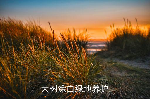大樹涂白綠地養(yǎng)護(hù)