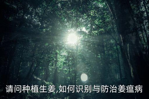請問種植生姜,如何識別與防治姜瘟病