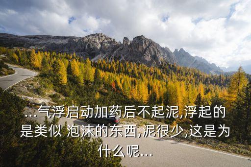 ...氣浮啟動加藥后不起泥,浮起的是類似 泡沫的東西,泥很少,這是為什么呢...