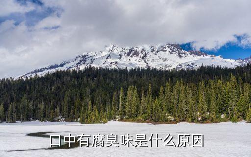 口中有腐臭味是什么原因