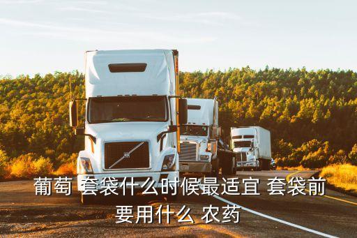 葡萄 套袋什么時候最適宜 套袋前要用什么 農藥