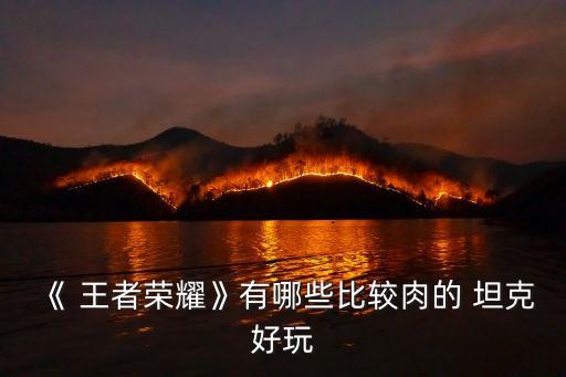 《 王者榮耀》有哪些比較肉的 坦克好玩