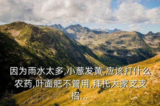 因?yàn)橛晁?小蔥發(fā)黃,應(yīng)該打什么 農(nóng)藥,葉面肥不管用,拜托大家支支招...