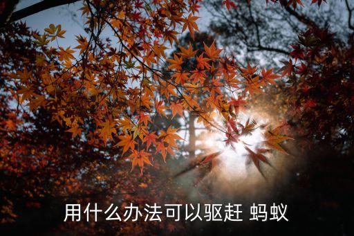 用什么辦法可以驅(qū)趕 螞蟻