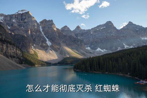 怎么才能徹底滅殺 紅蜘蛛