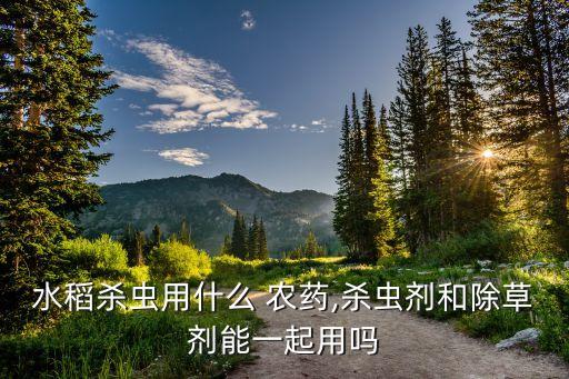 打農藥一般什么時間打比較好,什么農藥打稻里草