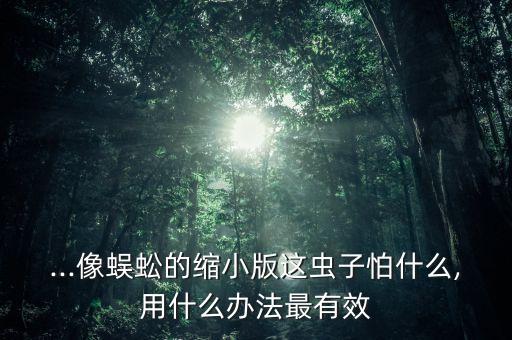 八足蟲最怕什么農藥,百足蟲怕什么
