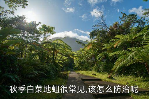 什么農藥治地蛆好,治地蛆用什么藥